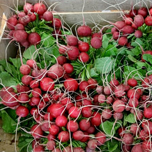 magasin bio et de produits locaux dans l'Indre (36)